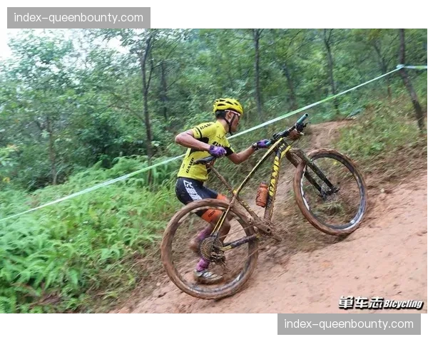 山地自行车赛事场馆建设标准与安全规范更新解读